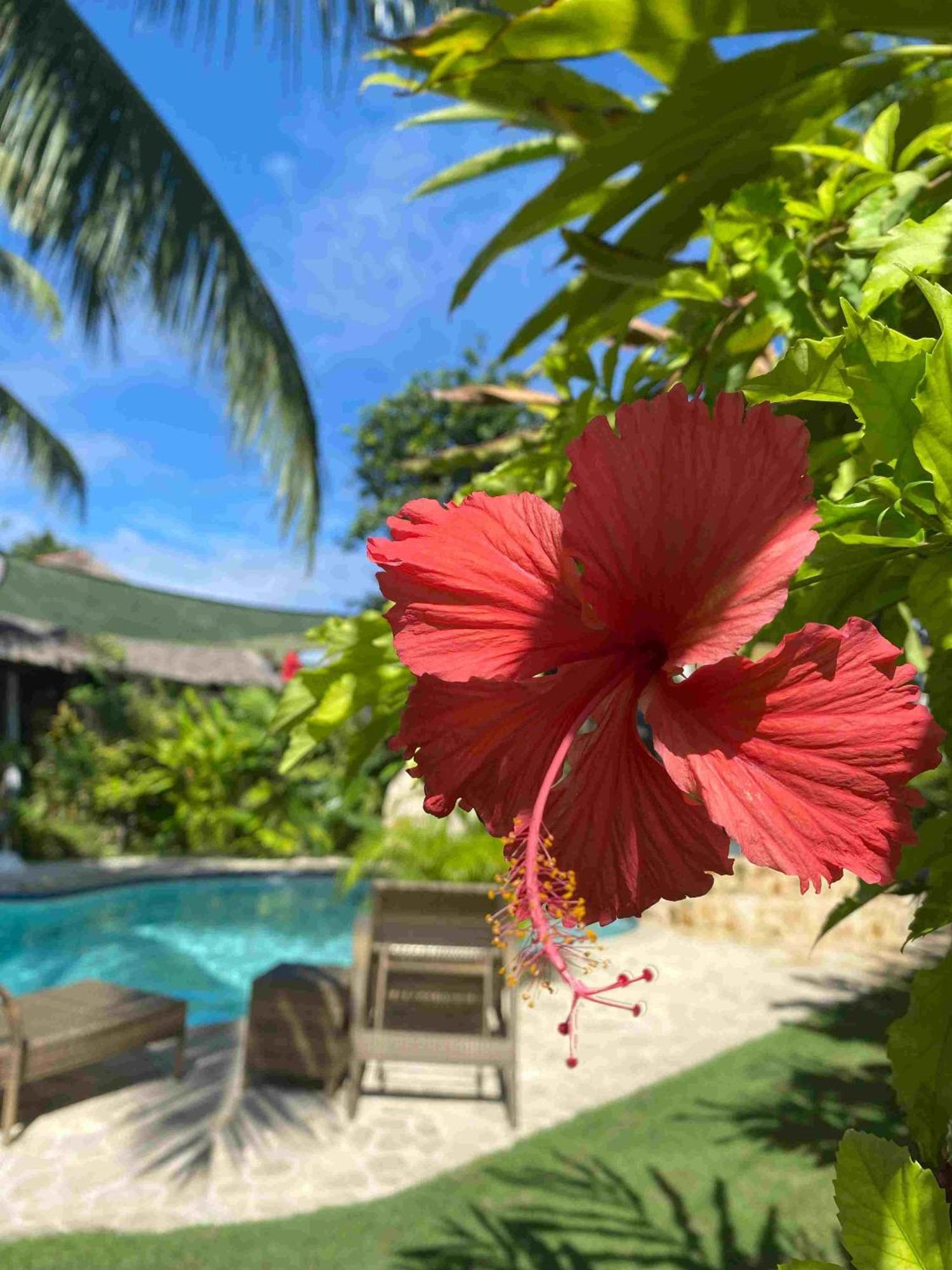 Romantic Beach Villas General Luna  Εξωτερικό φωτογραφία